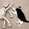 British Shorthair Blues