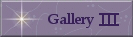 Gallery Three Button - Cats Gone But Not Forgotton