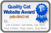 British Blue Shorthairs