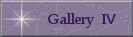 Gallery Four Button - Mabledon Boys