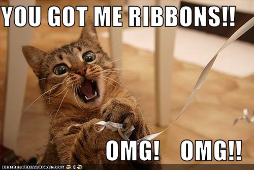 British Shorthair Blues