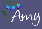 British Blue Cat - Amy